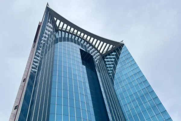 anadhittower